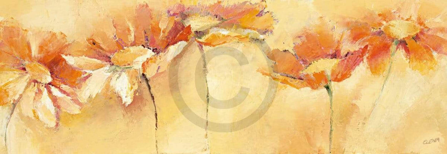 Affiche Art Elena Filatov - Feldblumenparade 99x34cm