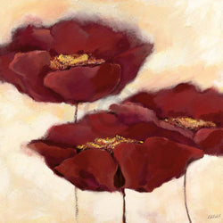 Affiche Art Elena Filatov - Mohn in Milch II 70x70cm