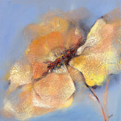 Affiche Art Elena Filatov - Bright Anemone I 50x50cm