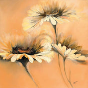 Affiche Art Elena Filatov - Apricot Summer I 70x70cm