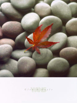 Affiche Art Glen & Gale Wans - Leaf on Stone 45x61cm