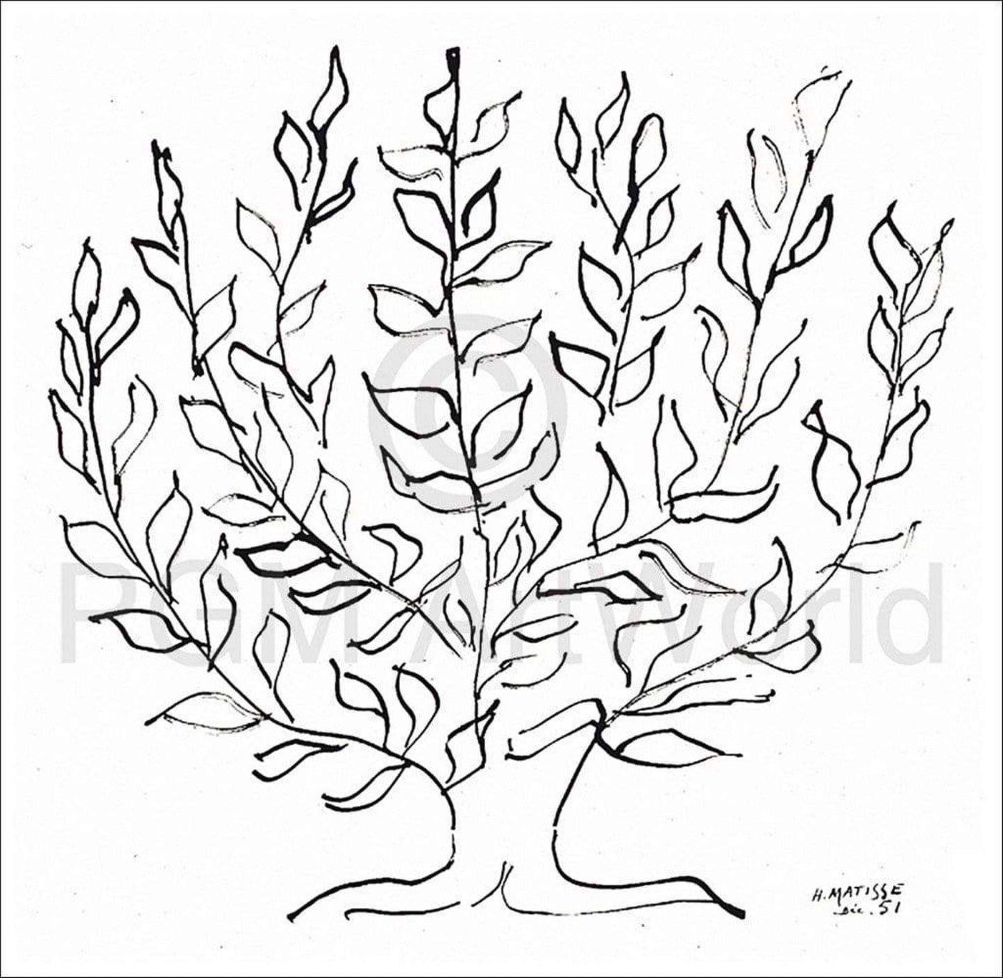Affiche Art Henri Matisse - Le platane 100x100cm