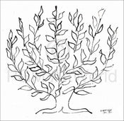 Affiche Art Henri Matisse - Le platane 100x100cm