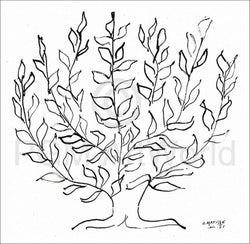 Affiche Art Henri Matisse - Le platane 100x100cm