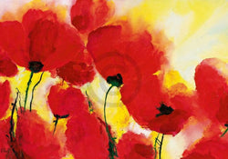 Affiche Art Heidi Reil - Roter Mohn Toskana 100x70cm