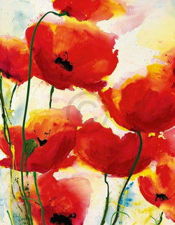 Affiche Art Heidi Reil - Roter Mohn 70x90cm