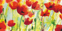 Affiche Art Heidi Reil - Mohnfeld 100x50cm
