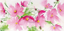 Affiche Art Heidi Reil - Rosa Kosmeen 100x50cm