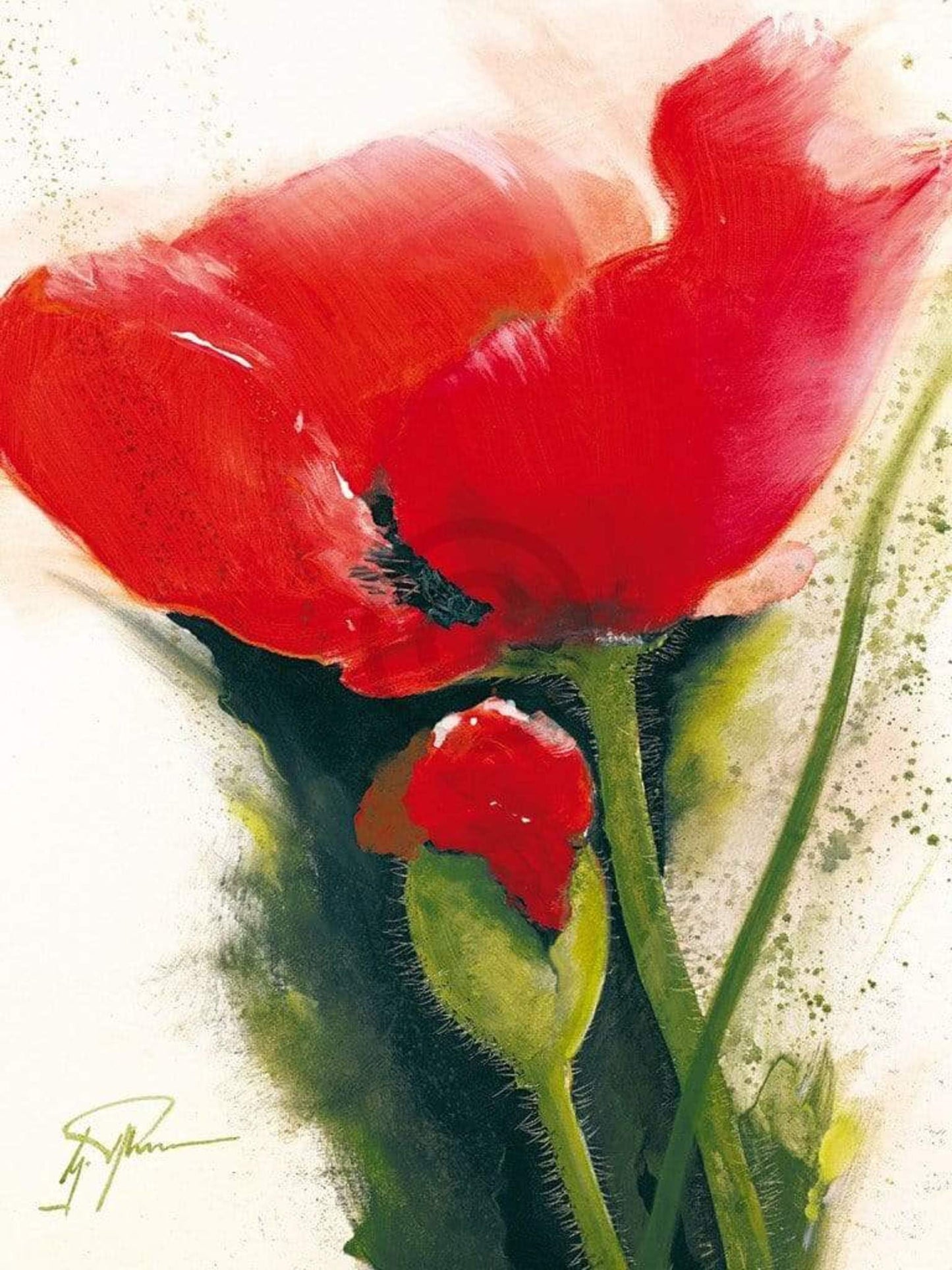 Affiche Art Gerd Pflumm - Faszination Mohn II 60x80cm