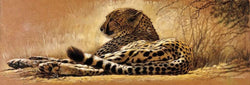 Affiche Art Renato Casaro - Little rest 99x34cm