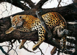 Affiche Art Renato Casaro - Laziness 70x50cm