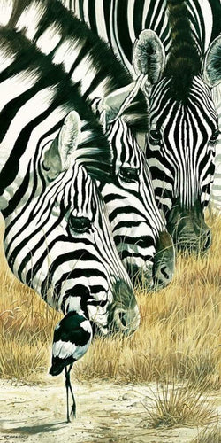 Affiche Art Renato Casaro - Black and White 50x100cm