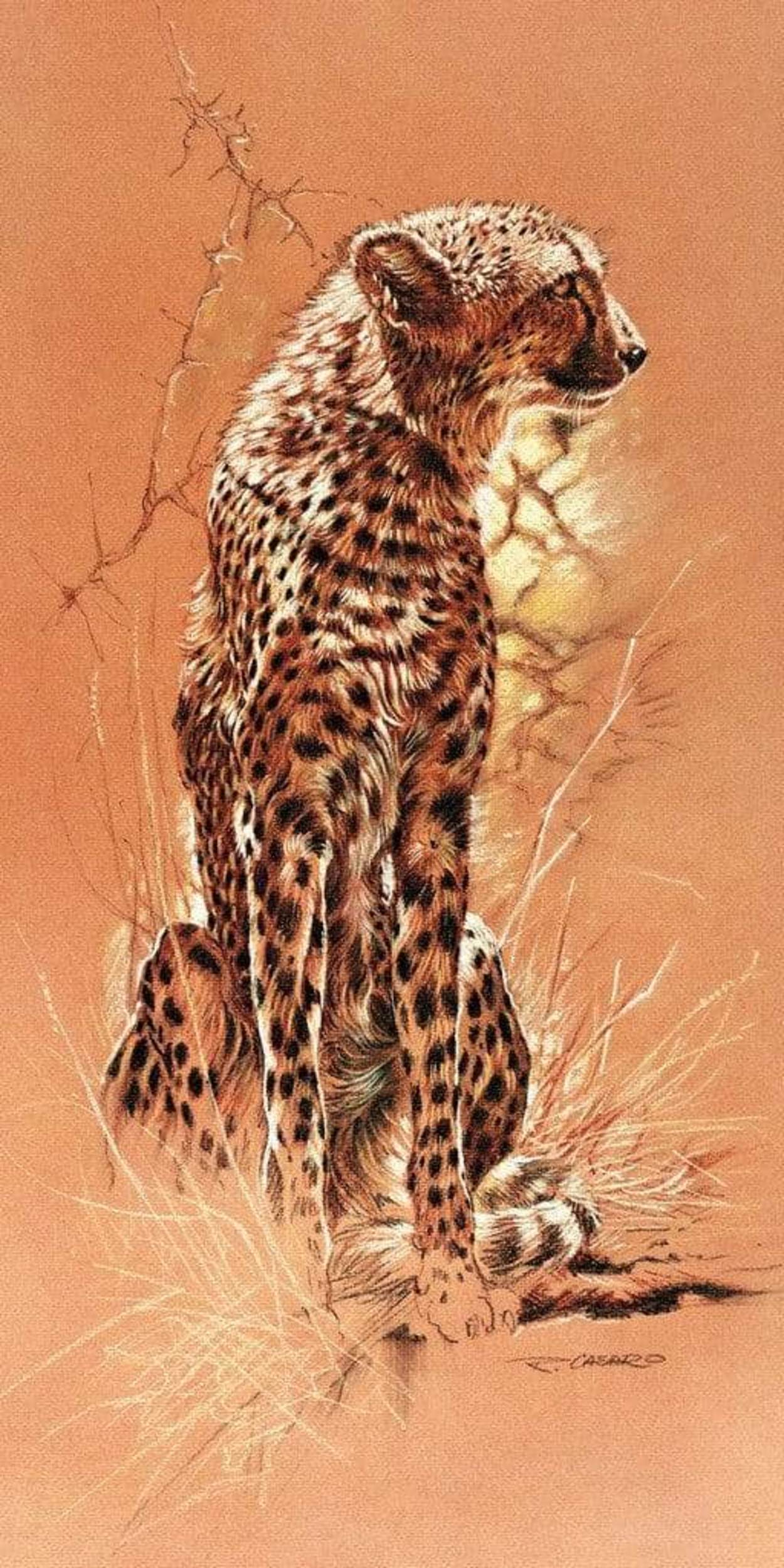 Affiche Art Renato Casaro - Cheetah 50x100cm
