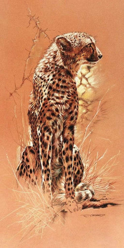Affiche Art Renato Casaro - Cheetah 50x100cm