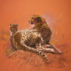 Affiche Art Renato Casaro - Cheetah Mother 50x50cm