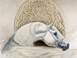 Affiche Art Renato Casaro - Arabian Pride 80x60cm