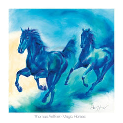 Affiche Art Thomas Aeffner - Magic Horses 70x70cm