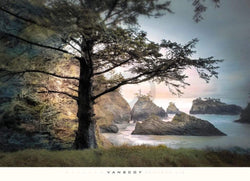 Affiche Art William Vanscoy - All Day Dreamer 91x66cm
