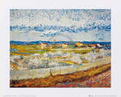Affiche Art Vincent Van Gogh - Pesco in fiore 30x24cm