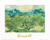 Affiche Art Vincent Van Gogh - Landscapes with olive trees 30x24cm