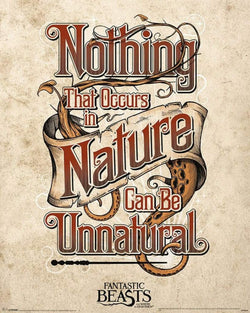 Poster Fantastic Beasts Unnatural 40x50cm