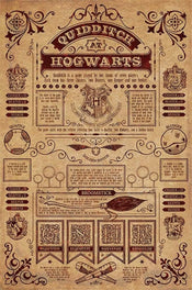 Poster Harry Potter Quidditch at Hogwarts 61x91,5cm