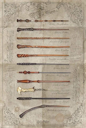 Poster Harry Potter The Wand Chooses the Wizard 61x91,5cm