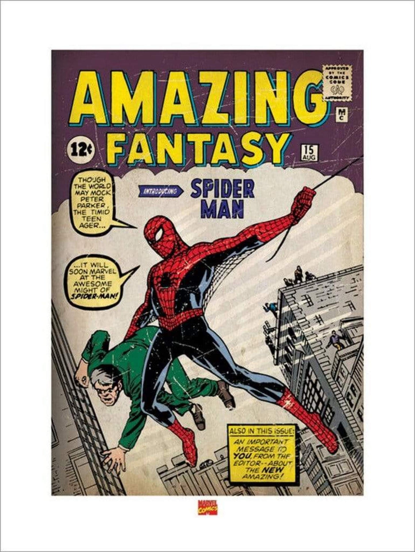 Affiche Art Spider-Man Issue 1 60x80cm