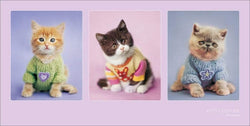 Affiche Art Rachael Hale Kitty Couture 100x50cm