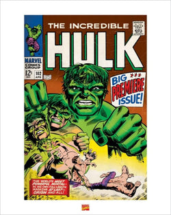 Affiche Art Hulk 40x50cm