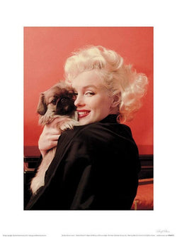 Marilyn Monroe Love Affiche Art 30x40cm