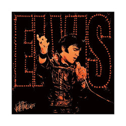 Affiche Art Elvis Presley - 68 40x40cm