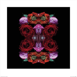 Affiche Art Alyson Fennell - Paradise of Petals 60x60cm