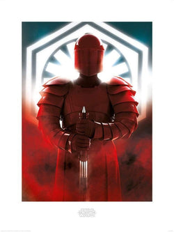 Affiche Art Star Wars The Last Jedi Elite Guard Defend 60x80cm