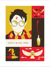 Warner Bros You Are A Wizard Harry Affiche Art 30x40cm