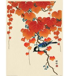 Ohara Koson Bird and Red Ivy Impression D’art 30x40cm
