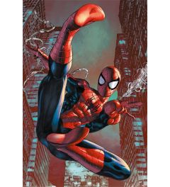 Spiderman Web Poster 61x91.5cm