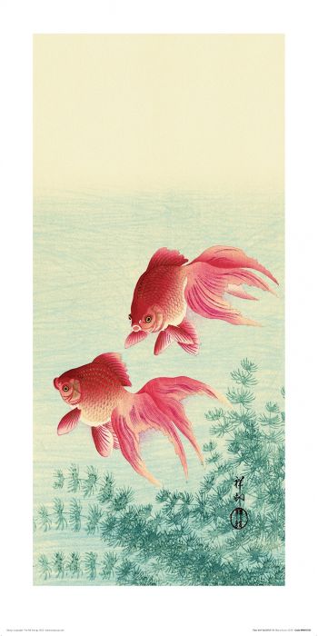 Ohara Koson Two Veil Goldfish Art Print 30x60cm
